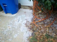 Driveway Ice