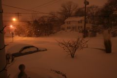 IMG 0641