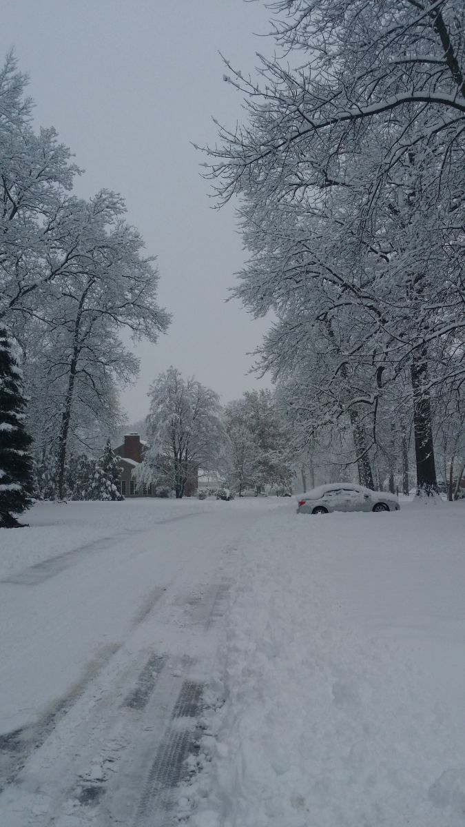 1/5/2014 Snow Storm