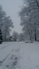 Looking south down Brentwood in Muncie.