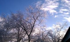 Ice and Blue Sky