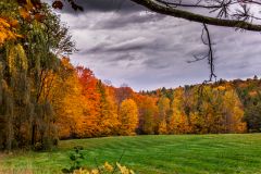 October Meadow