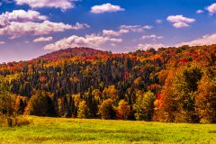 Fall Foliage in VT 9.26.2014