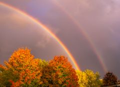 Double Rainbow (reduced noise version)