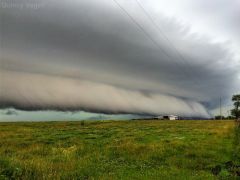 Ominous Shelf