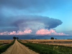 Dakota Thunderstorm