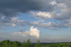 Convective Trees