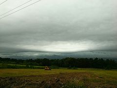 Shelf cloud over treeline