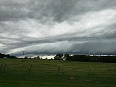 Shelf cloud