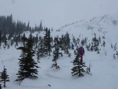 Kicking Horse   Below Super Bowl   T2