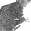 Thanksgiving Wind Map vortices