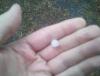 post-464-0-68056700-1359315893_thumb.jpg