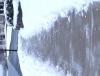 post-10379-0-30878600-1395789725_thumb.j
