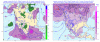 post-32-0-76260600-1344081592_thumb.gif