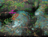 post-88-0-29112000-1351148754_thumb.gif