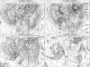 post-2999-0-65764200-1356626411_thumb.gi