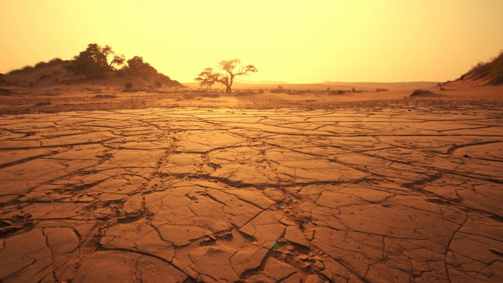 desert-2.jpg