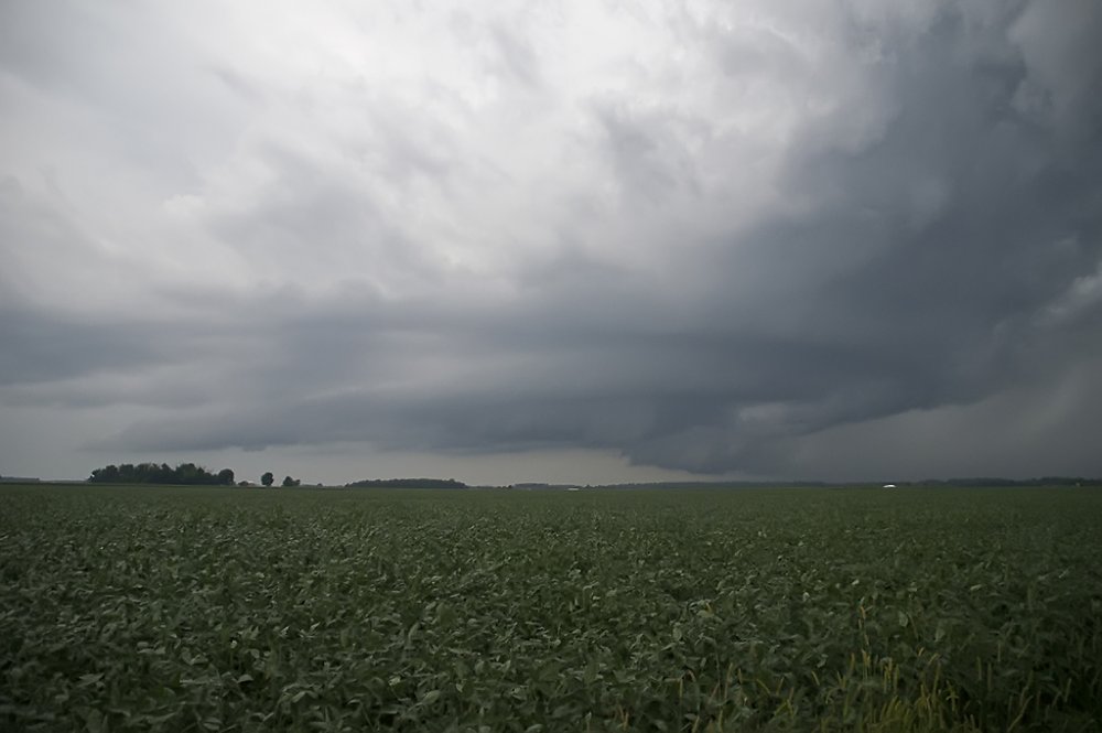 dupont_wallcloud1_clean_sharp.jpg