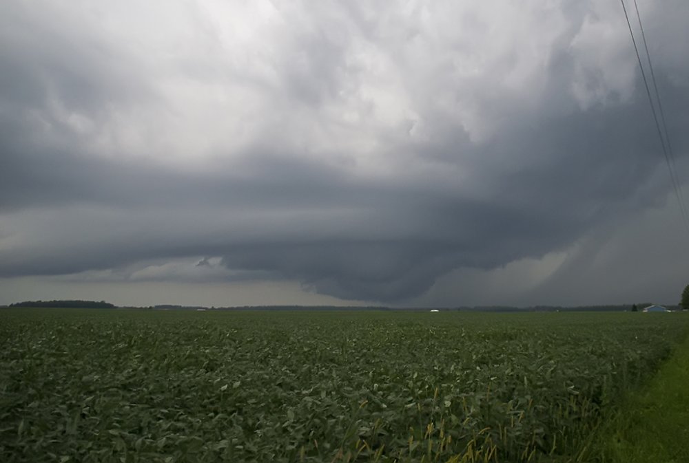 dupont_wallcloud2_clean_sharp.jpg