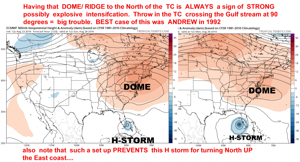 ecmwf_z500a_us_7.png