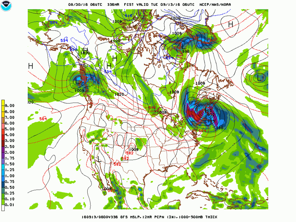 gfs_namer_336_1000_500_thick.gif