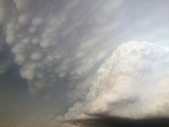 Majestic Mammatus