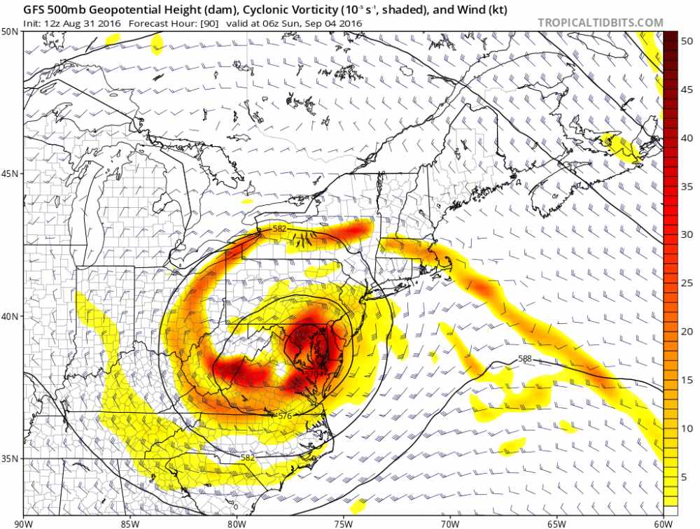 td95.png