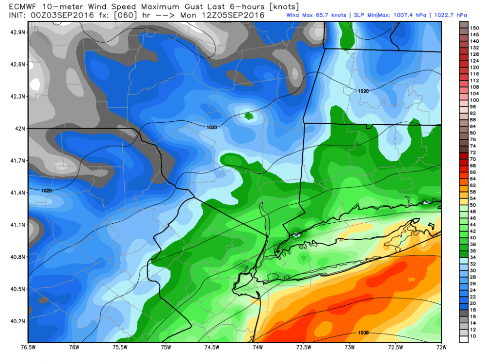 ecmwf_uv10g_nyc_11 (1).png