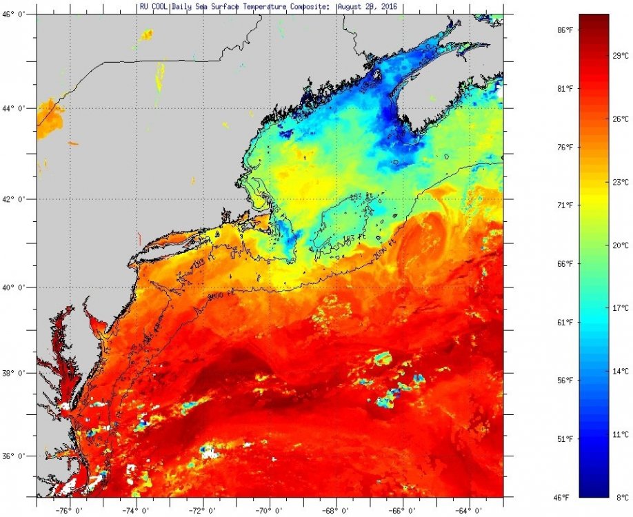 Aug29SST.jpg