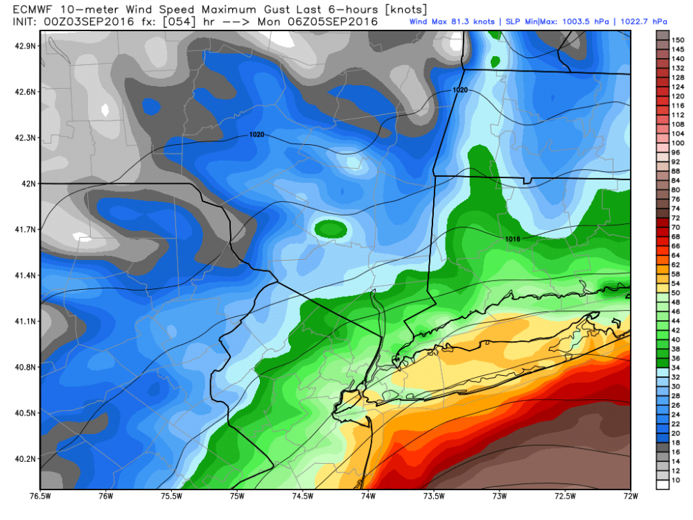 ecmwf_uv10g_nyc_10.png