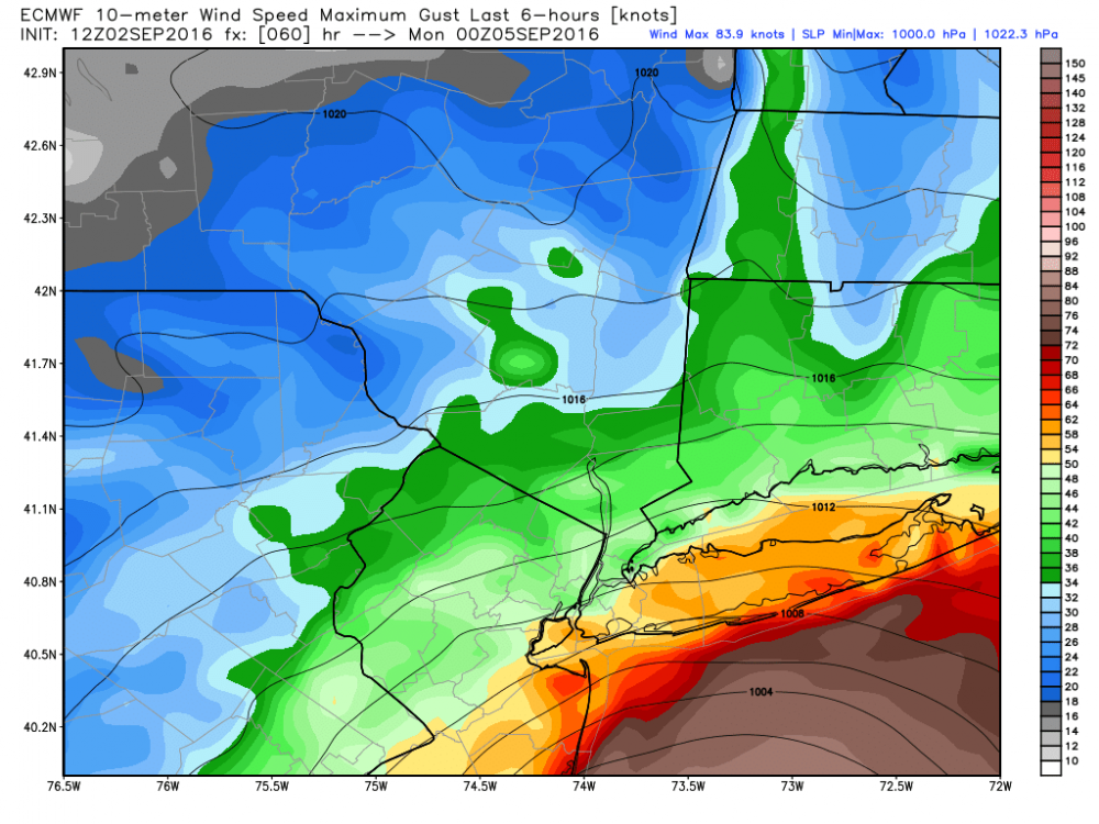 ecmwf_uv10g_nyc_11.png