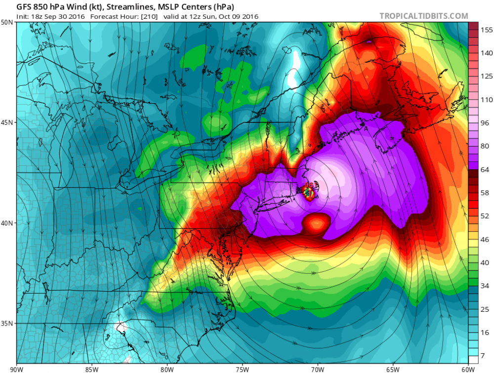 gfs_mslp_uv850_neus_36.png