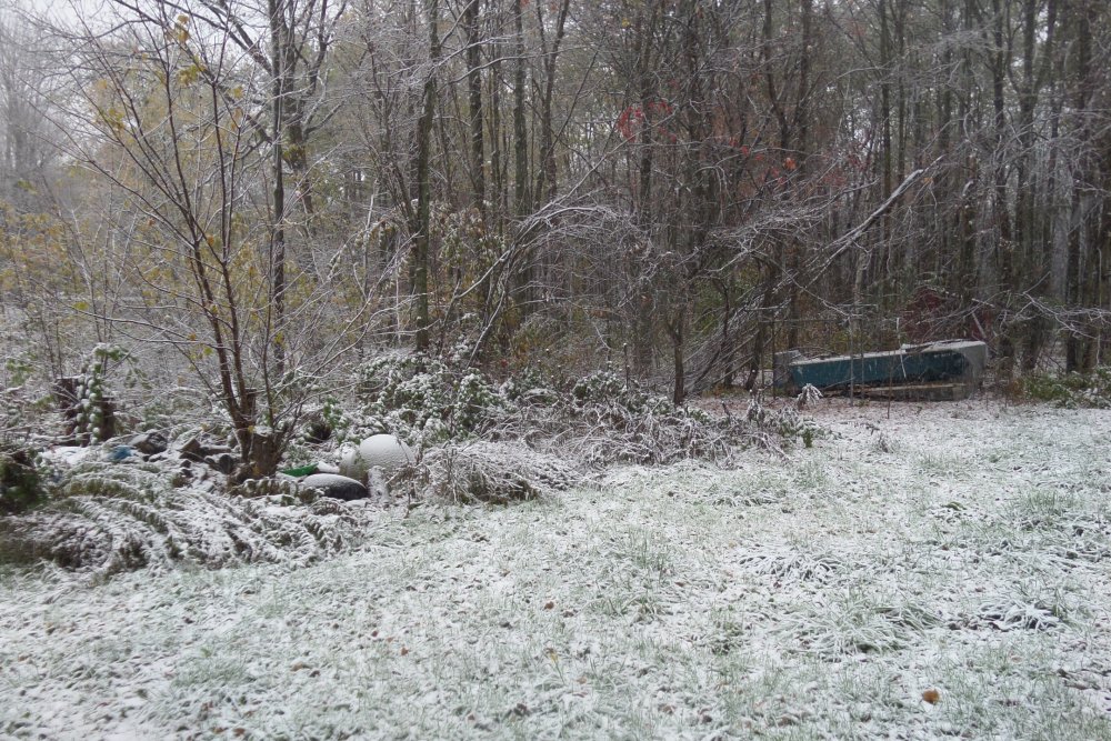 2016-first-snow.jpg