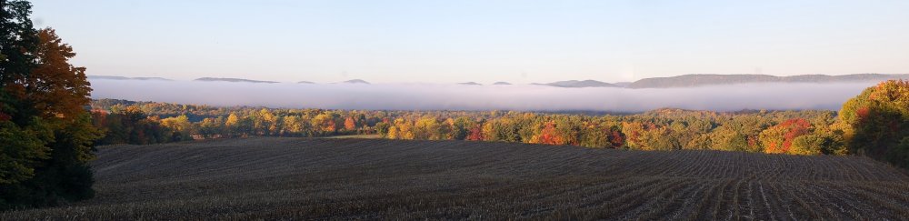 Fall Fog over Field.jpg