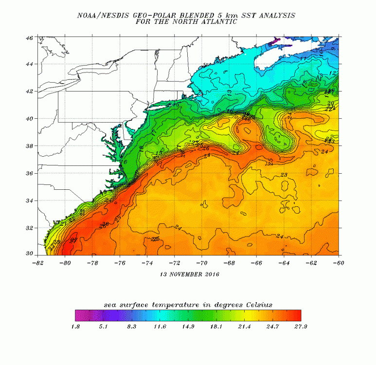 SST November 14th 2016.gif