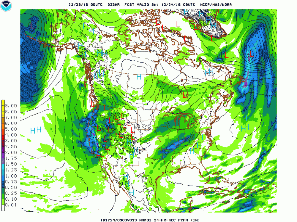 nam_namer_033_precip_p24.gif