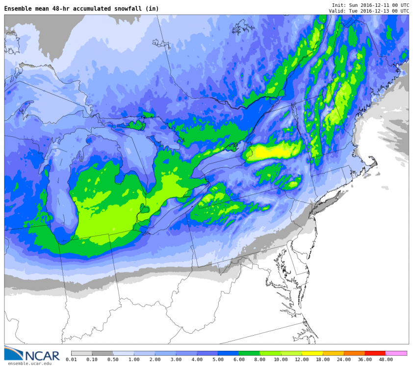 snowacc_mean_f048_NE.png