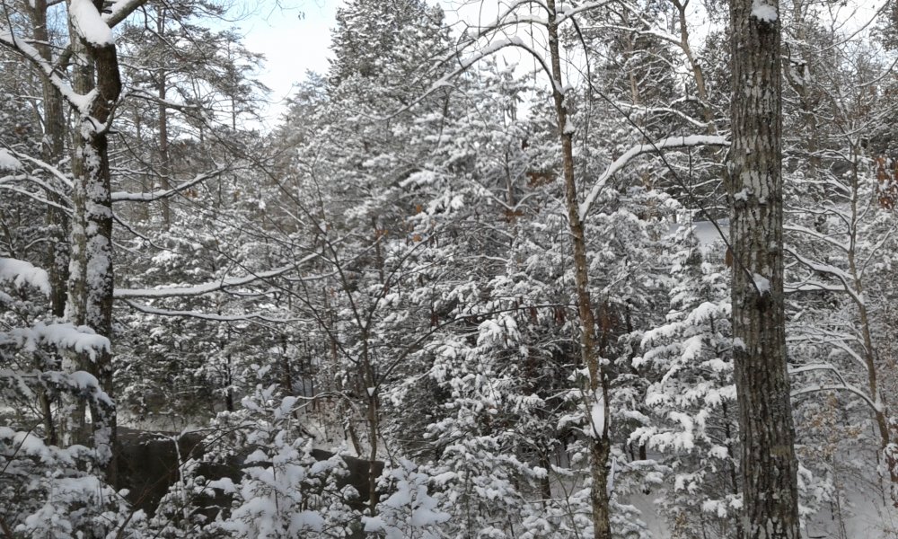 20170107_101507[1].jpg