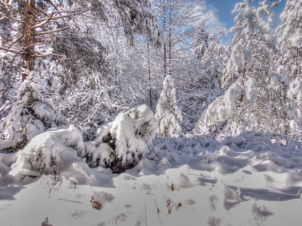 snow piles.jpg