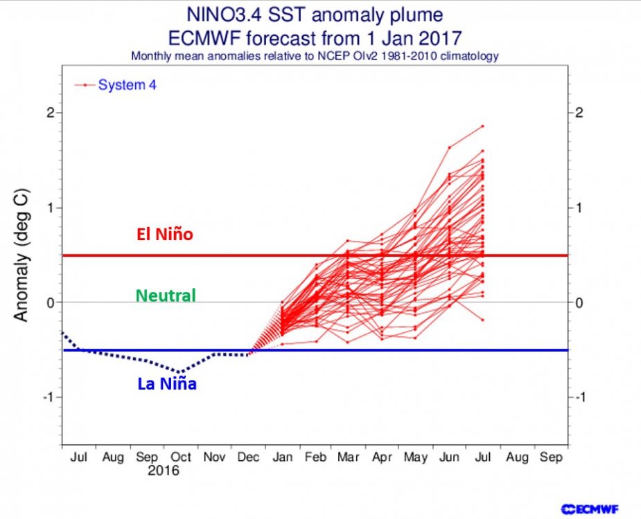 el nino.jpg