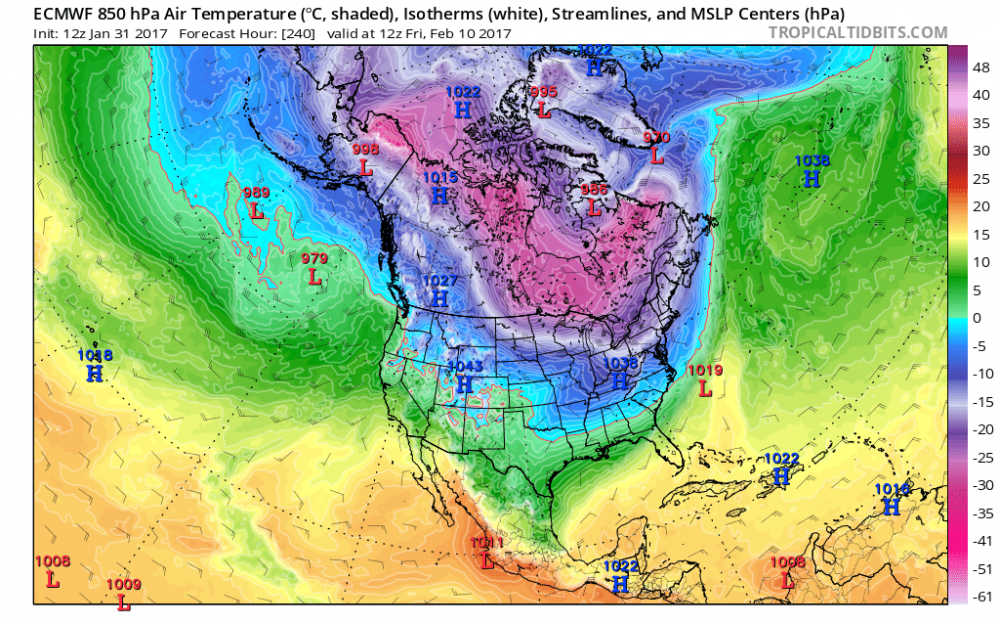 ecmwf_T850_namer_11 hr 240 12z Jan 31_2017.png