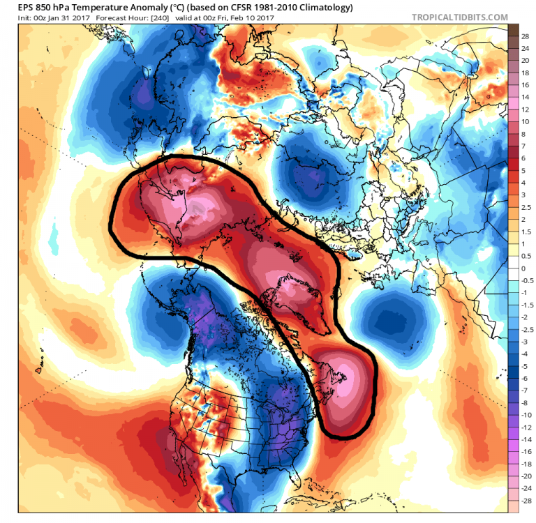 ecmwf-ens_T850a_nhem_11.png