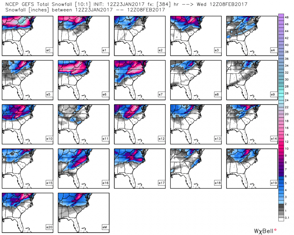 gefs_snow_ens_se_65.png