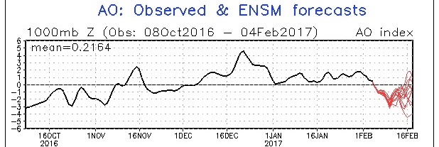 ao.sprd2 Feb 4_2017.jpg