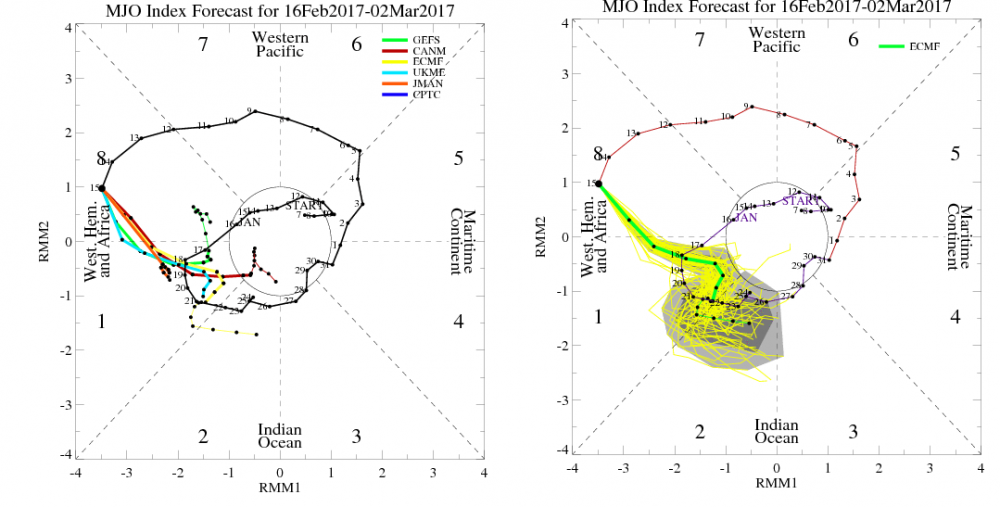 MJO Trend.png