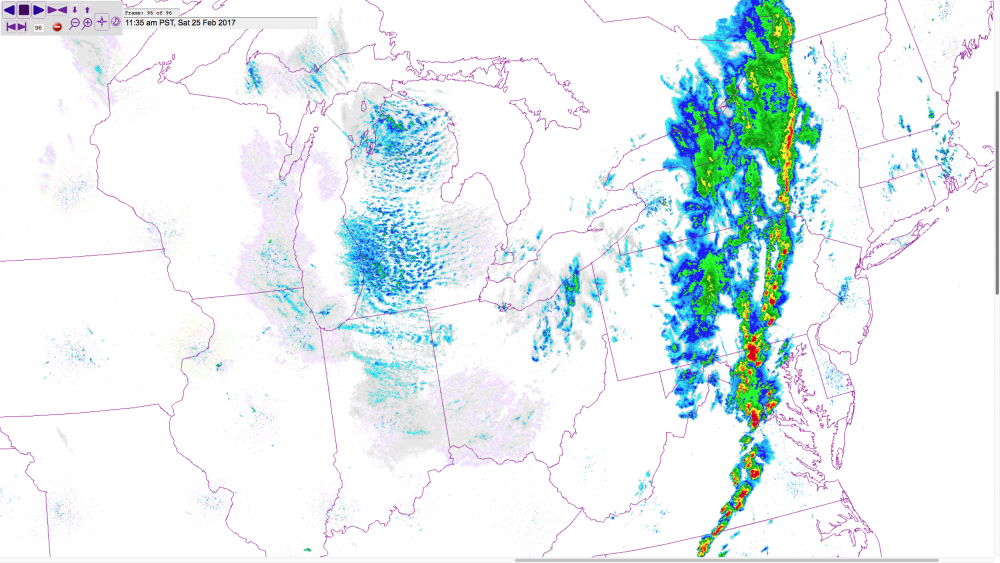 Radar Mosaic 2017-02-25 at 2.39.50 PM.png