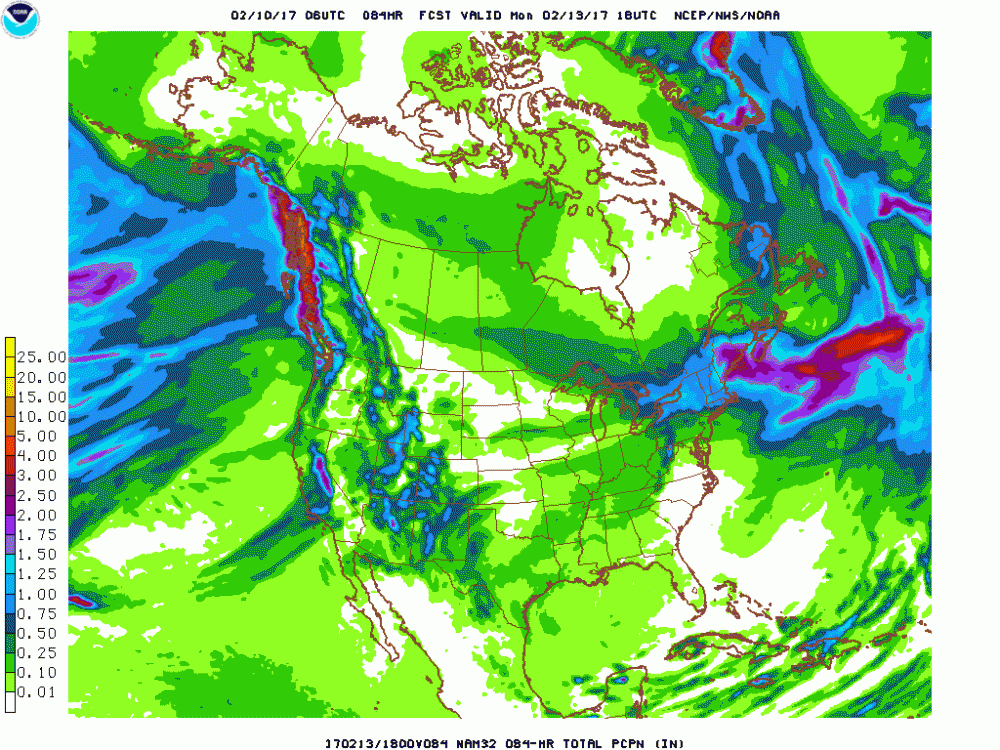 nam_namer_084_precip_ptot.gif