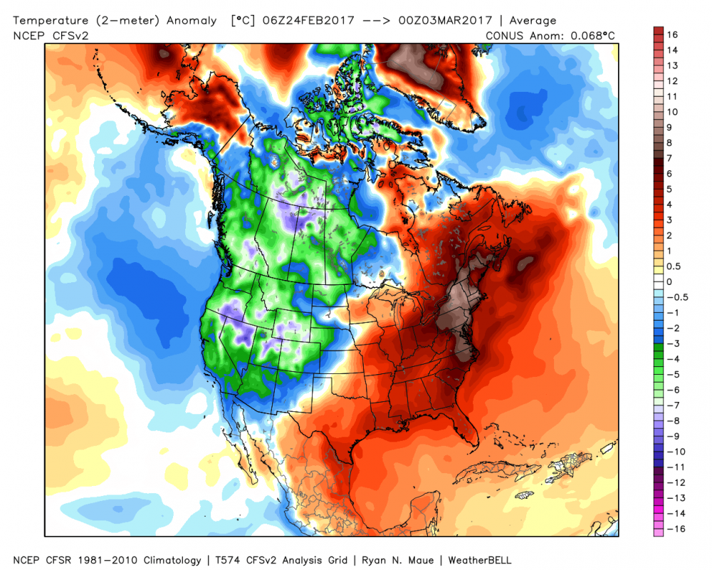 MJO Cold Snap.png