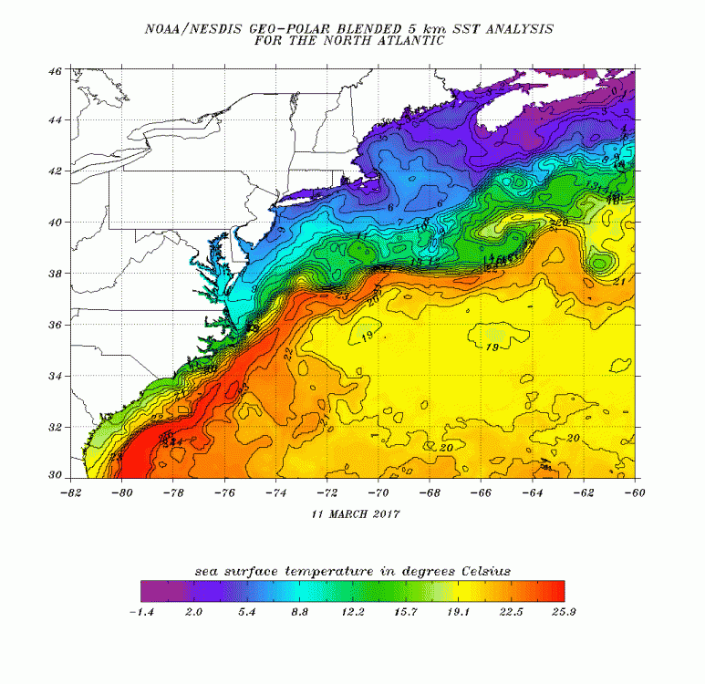 Oceanic temperatures East Coast of the US 11 MAR 2017.gif
