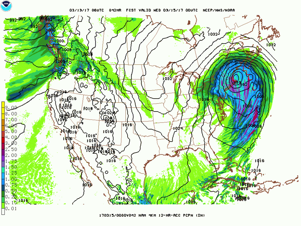 nam-hires_conus_042_precip_p12.gif